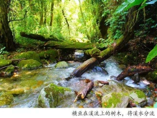 騰沖戶外徒步丨林家鋪，剛好18°C